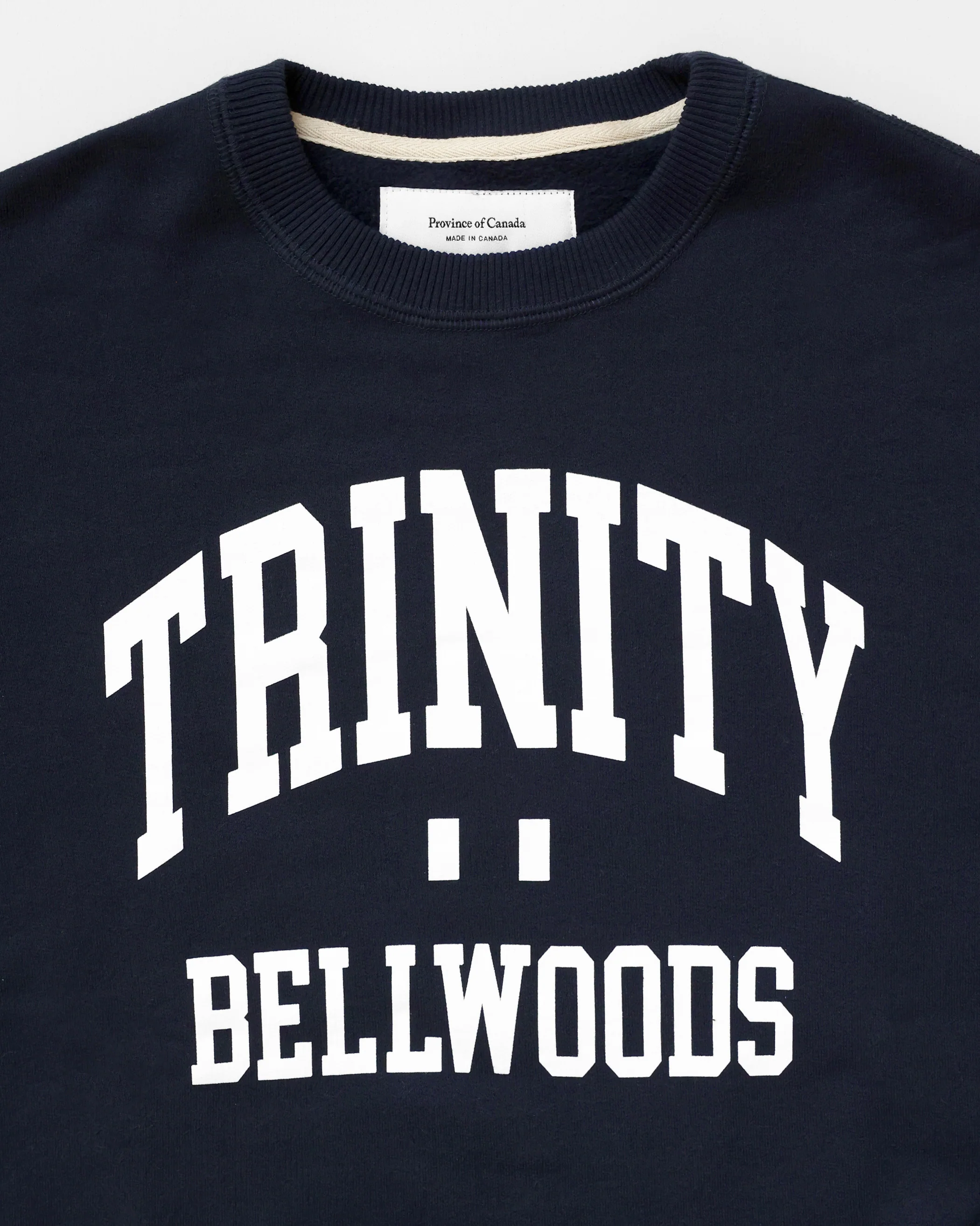 Trinity Bellwoods Fleece Sweatshirt Navy - Image 3